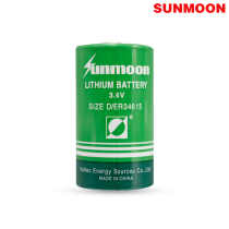 Special ER34615 water meter battery D type 1 lithium battery 3 6V gas meter flow meter meter battery ls33600