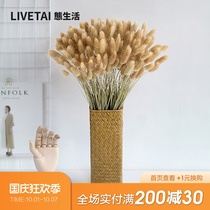 Natural rabbit tail grass and dog tail grass dry flower forever flower air dried real flower bouquet ins Wind literary living room decoration ornaments