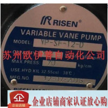 VP-SF-12-D Vane PUMP RISING MACHINERY CO LTD(RISING)