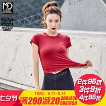 Muscle dog summer thin loose breathable beautiful back sports fitness top yoga running blouse short-sleeved T-shirt women