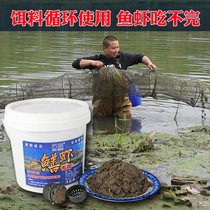 Monoptera lobster Loach Miscellaneous fish can be used to bait bait shrimp fish cage bait ball small medicine bait bait