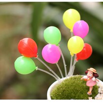 Fine Moss micro landscape fleshy flowerpot simulation mini color balloon randomly sent 6