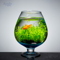 Creative desktop wine glass Net red fish tank living room small goldfish tank bucket home ecological mini aquarium landscaping