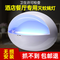  Sticky trap type fly killer lamp Restaurant Hotel mosquito killer lamp Commercial dining hall Shop canteen Insect killer lamp Fly killer artifact