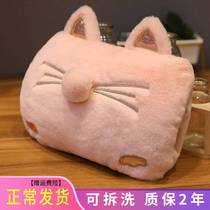 Heat Bag Electroelectric Big Charging Water Type Plus Detachable Explosion Proof Warm Water Bag Cute Removable Wash Cartoon Goddess Instrumental Thickening