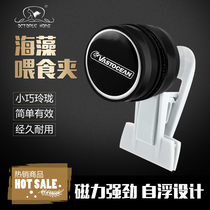 Strong magnetic seaweed feeding ring seaweed clamp magnetic vegetable clamp upside down fish seawater three lakes cichlid