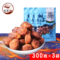 Moyuan tree apricots 300g x3 bag handletter specialty tourist souvenir Li Guang dried apricot meat snack snacks