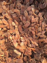 8-year-old sugar-free Red ginseng tablets 2 8cm Jilin Fusong Changbai Mountain ginseng 250g Korean ginseng tablets