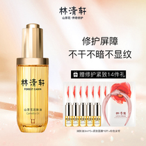 (Lin Qingxuan) Mountain tea flower moisturizing skin oil repair essence oil 50ml anti-start-old official