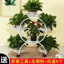 Yannan Street Wei Sheng Xiang Lele European small circle flower stand Green balcony living room movable Nordic round Net Red