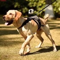 Dog sports camera strap gopro stabilizer pet dog chest strap sports camera fixed shoulder strap