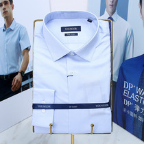 Counter 1080 yuan new product Youngor men TNDP high branch cotton non-iron blue long sleeve shirt 110238IBA