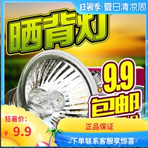 Reptile box turtle tank UVB lamp heating lamp Sun lamp climbing box heating lamp Drying back light 25W75W