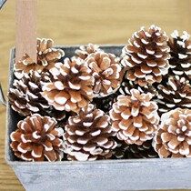 White side pinggo tower Christmas kindergarten decorated dry flower zakka manual creative DIY material home furniture