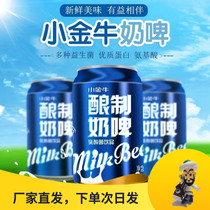 Xinjiang Xiaojin Milk Beer 300ml * 12 cans of whole box of yogurt lactic acid bacteria brewed drink Changji straight hair alcohol-free