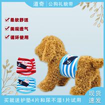 Pet Physiological Paper Pee Pants Teddy Pee not wet menstrual dog Aunt Aunt Towel Safety Surgery Kitty tummy pocket
