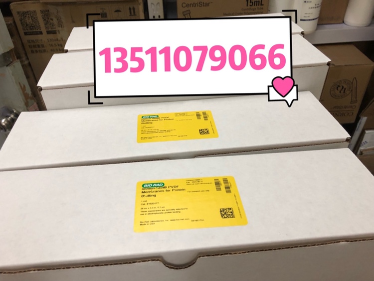 Berlepvdf film 1620177 in the form of a