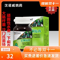 Zhixingdan Germany Hannover pigeon medicine pigeon supplies intestinal medicine Salmonella water diarrhea yellow and white