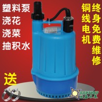 SPP100 automatic plastic shell submersible pump Garden pump Suction dry pump watering flowers and vegetables pumping stagnant water submersible pump