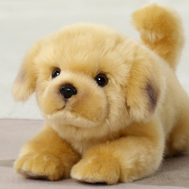 Cute emulation Puppy doll Gold Mao paparazzi girl sleeping Mao suede toy doll girl to accompany birthday present