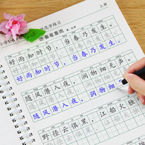 Ancient Poetry 75 First Child Practicing Calligraphy for Character-posting Primary School Students Line-copying Copywriting Textbooks Purple Light