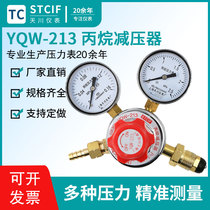Shanghai Tianchuan YQW-213 Propane Pressure Reducer Pressure Regulator Gas Cylinder Propane Pressure Reducing Valve Pressure