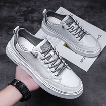 Small whiteboard shoes sports pilot white shoes 2022 new leather tide shoes summer trend