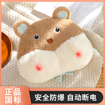 National standard explosion-proof charging hot water bag plush cute cartoon warm baby warm hand baby with stomach injection