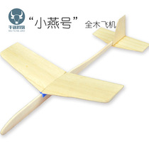 Xiaoyan whole wooden aircraft Tianxiang wooden glider DIY hand assembled aircraft model aircraft science education toys