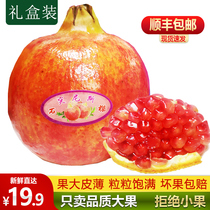 Spot fresh Tunisian soft seed pomegranate super fruit soft fruit sweet and sour pomegranate fresh pregnant woman fruit Shunfeng