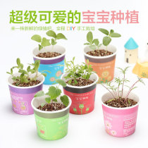 Creative mini green potted office desktop little plant baby DIY green kindergarten children prizes