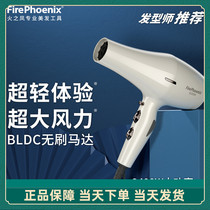 Fire Phoenix Electric Hair Dryer Barber Shop Hair Salon Super Large Wind Super Light High Power Quick Dry Modeling 6200H