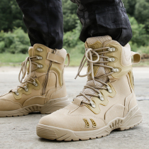 Autumn combat boots men and women wild mountaineering high security tactical boots outdoor wear-resistant ultra-light non-slip desert boots