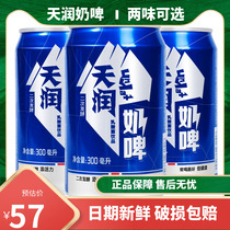 Tianrun milk beer yogurt containing lactic acid bacteria beverage Xinjiang original milk beverage 300ml * 12 cans whole box