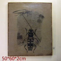 Animal Insect Decoration Painting Beetle Day Bull Cockroach Pattern Retro Made Old Jumb Picture Book House Kindergarten Epistemographic Drawings