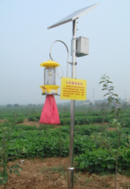 Solar Frequency Vibration Insect Killing Lamp Mosquito Killing Lamp