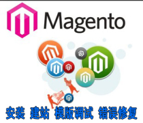  magento Build theme Installation template Debugging Website moving Error repair Security optimization