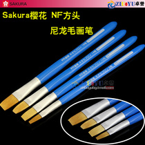 Japan Sakura Cherry Blossom NF Nylon Hair Square Head Brush Oil Brush Watercolor Powder Acrylic Brush