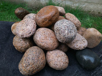 Small cobblestone garden stone color natural pebble fish tank landscape turtle drying table