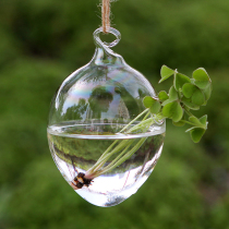 Cute hanging egg-shaped glass hydroponic creative vase Home decoration Hanging orchid flower pot flower simple modern