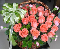 Diana pink rose 33 portable flower basket blessing send flowers Shanghai flower shop Xujiahui send flowers Changning flower shop