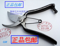 Japan Import Line Gold Leaf Brands Prunes Cut Flowers Cut Fruit Trees Cut Garden Sheared Scissors Flowers Cut Flowers Cut Flowers
