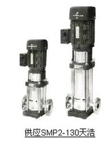 SMP4-220 vertical multistage centrifugal pump High pressure pump Tianhao water pump