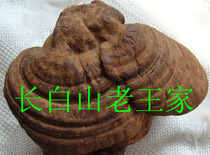 Changbai Mountain Ganoderma Lucidum Wood Ganoderma Lucidum Red Ganoderma Lucidum with spore powder Sessile large 2 pieces 