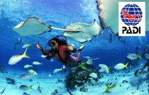 PADI Open Water Diver OW Chengdu diving research diving training Junior (OW)