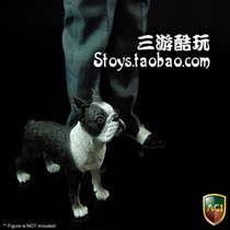 ACI TOYS 1 6 Dog Series 767 Boston Terrier Boston Terrier Dog Spot