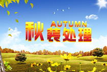 629 painting poster printing exhibition board inkjet material sticker 773 autumn clothing processing promotion poster