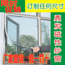 Dingfa mosquito curtain magnetic screen invisible screen window self-adhesive screen self-installed magnetic strip household custom window
