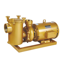 Swimming pool equipment Bimei copper circulating water pump TB series high-power water pump Copper water pump with hair collector