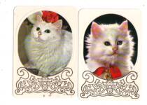 Annual Calendar (1992)